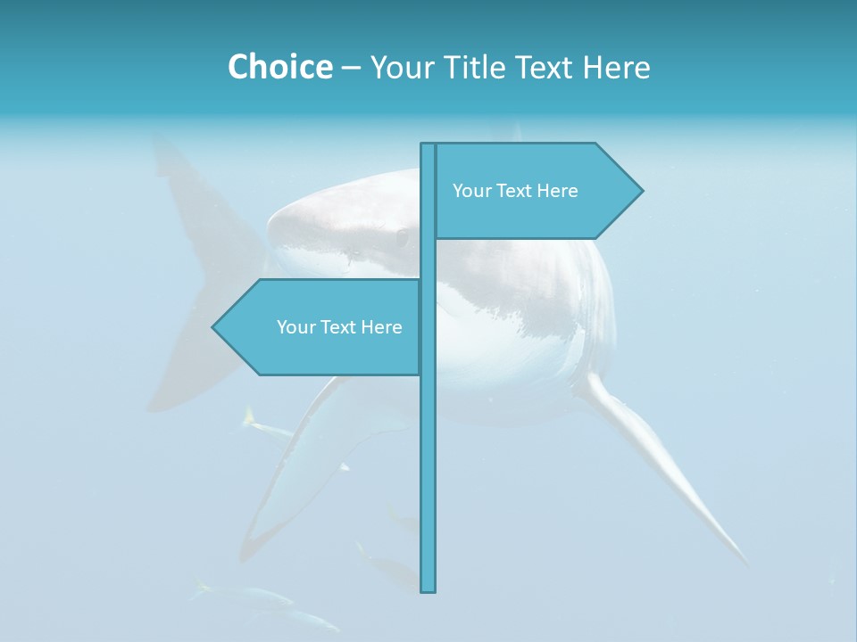 Marine Carcharodon Undersea PowerPoint Template