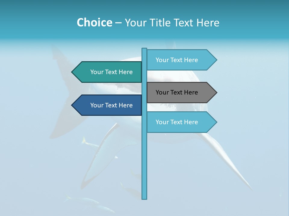 Marine Carcharodon Undersea PowerPoint Template