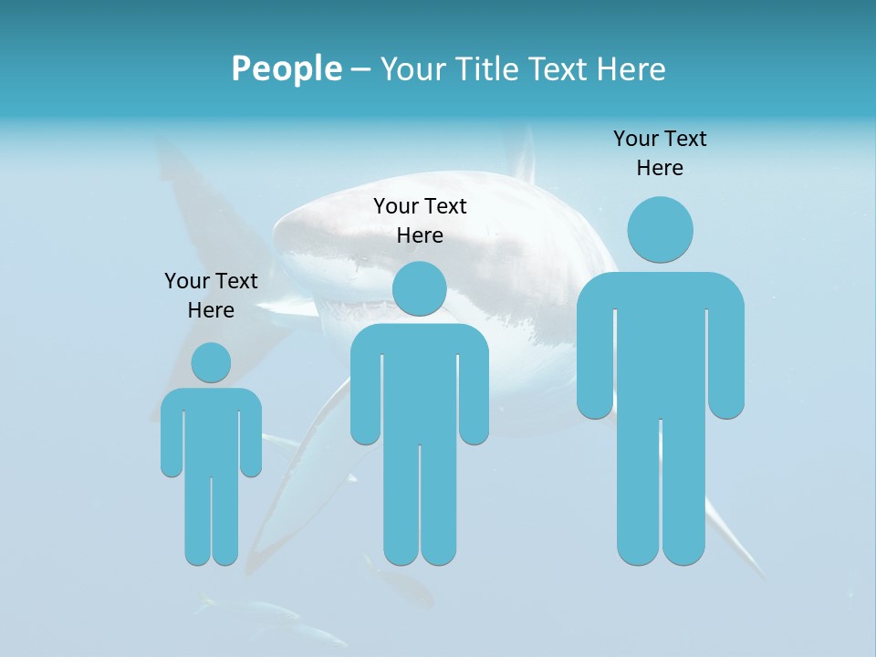 Marine Carcharodon Undersea PowerPoint Template