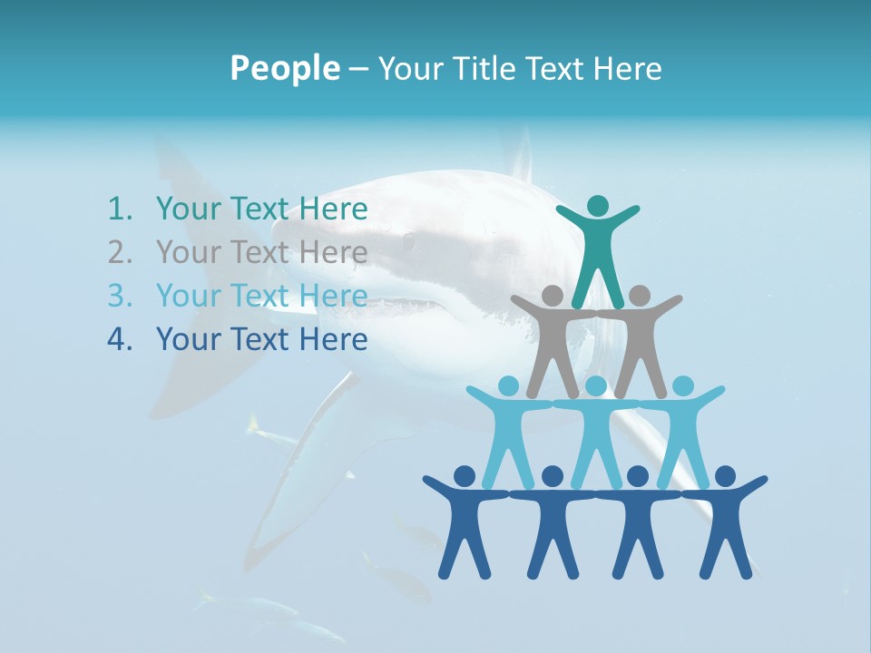 Marine Carcharodon Undersea PowerPoint Template