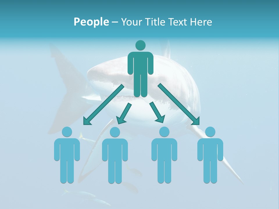 Marine Carcharodon Undersea PowerPoint Template