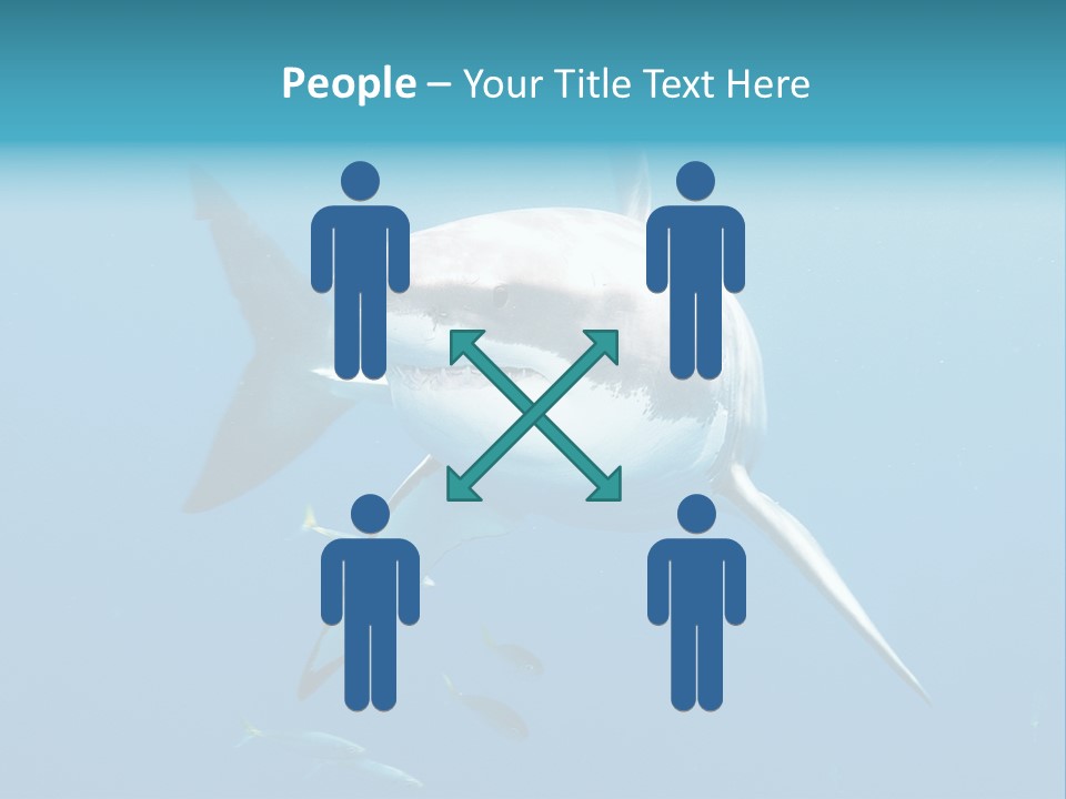 Marine Carcharodon Undersea PowerPoint Template