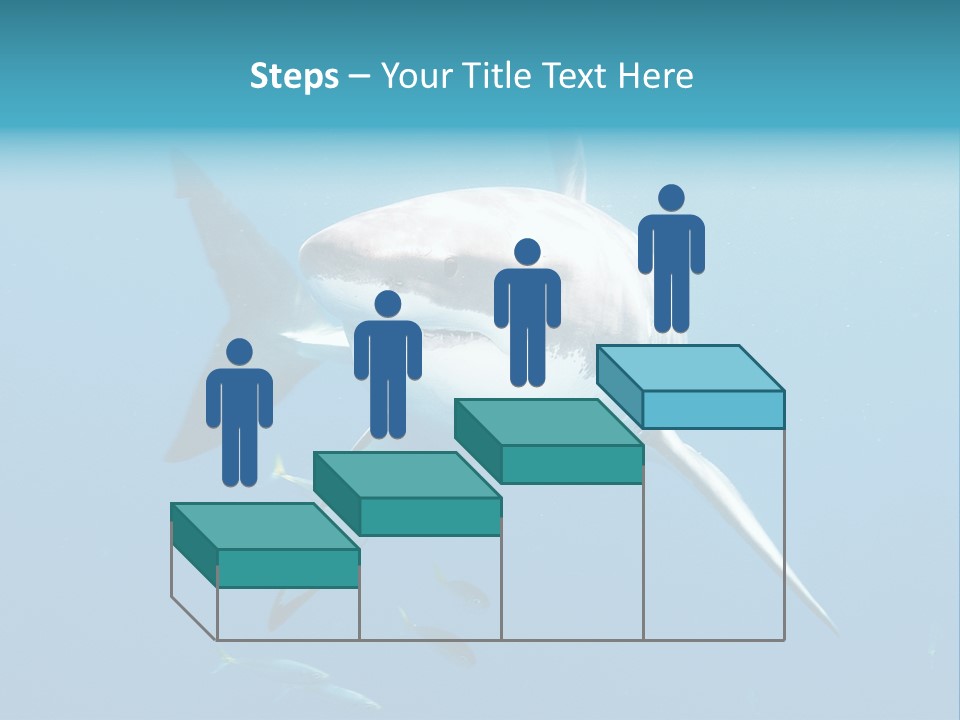 Marine Carcharodon Undersea PowerPoint Template