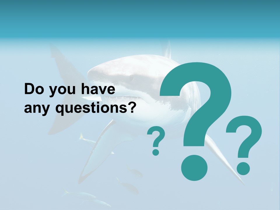 Marine Carcharodon Undersea PowerPoint Template