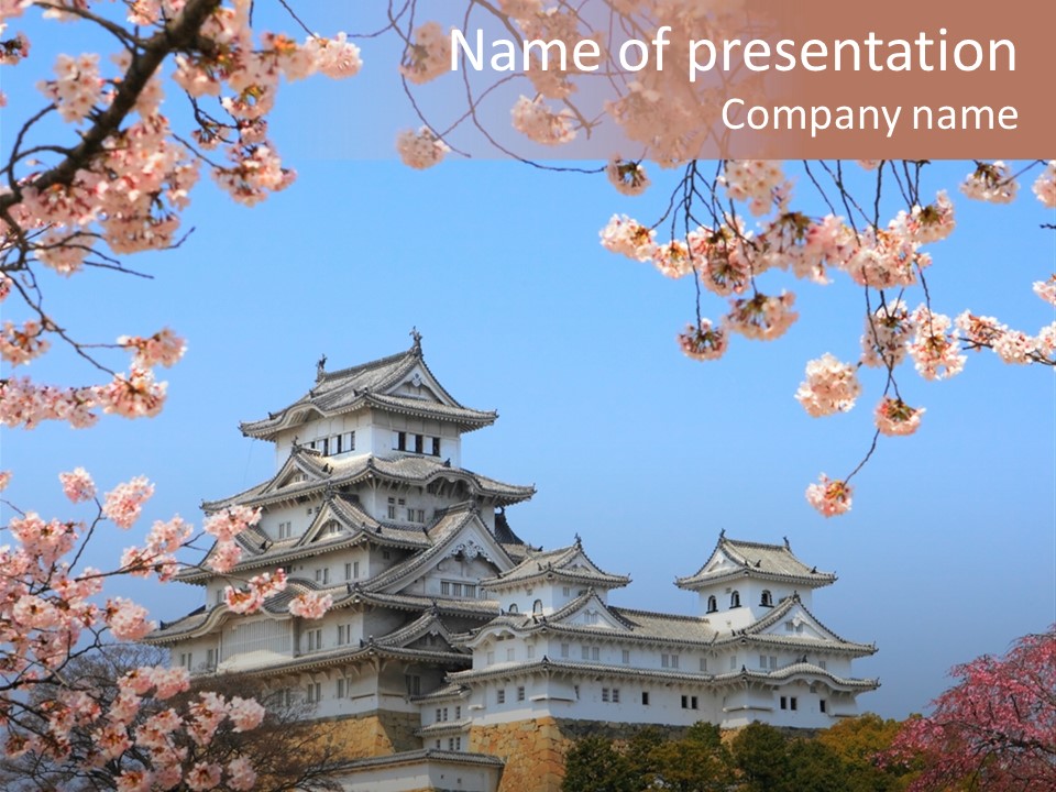 Ninja Landmark Pine PowerPoint Template