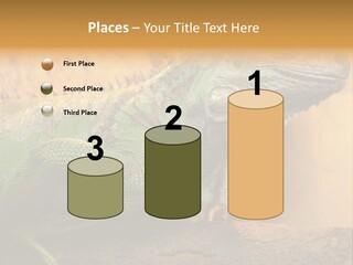 Glass Wild Wildlife PowerPoint Template