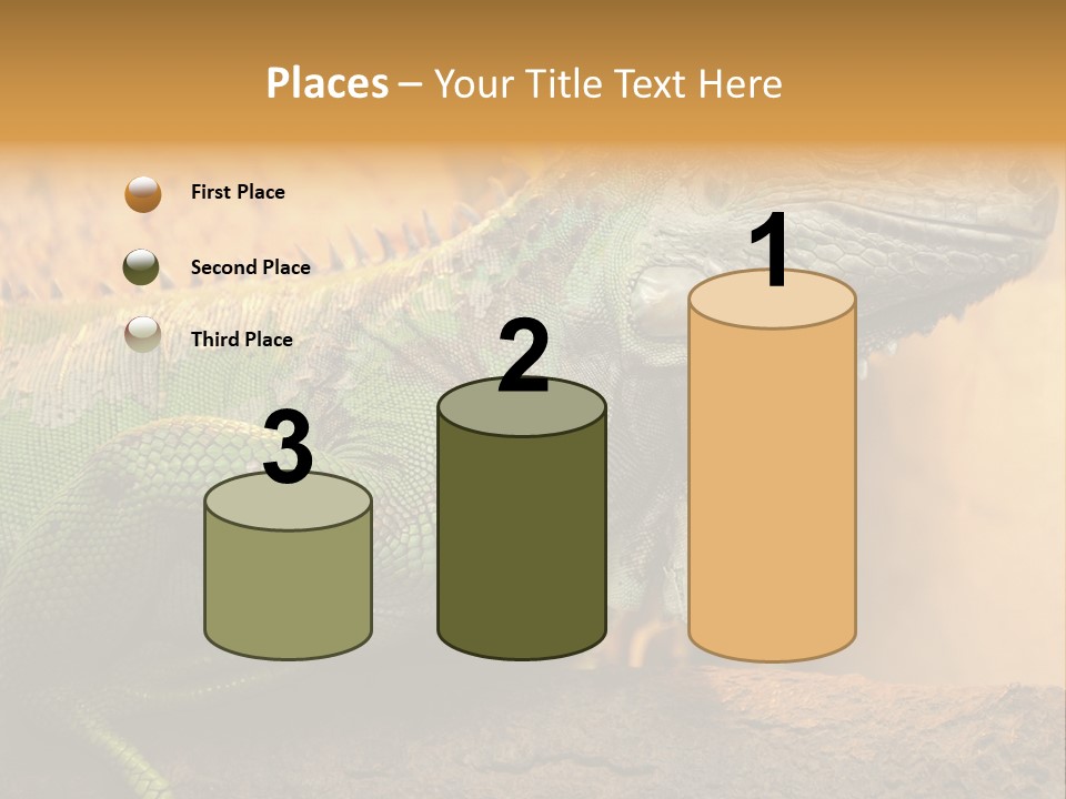 Glass Wild Wildlife PowerPoint Template