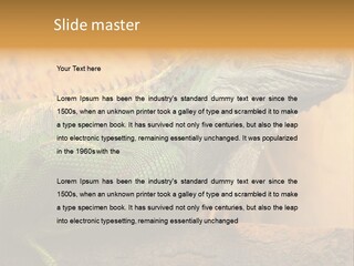 Glass Wild Wildlife PowerPoint Template