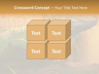 Glass Wild Wildlife PowerPoint Template