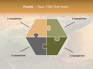 Glass Wild Wildlife PowerPoint Template