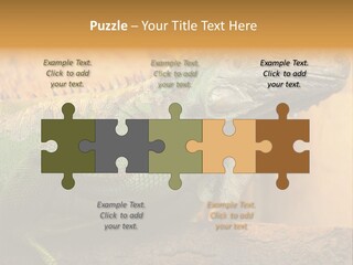 Glass Wild Wildlife PowerPoint Template