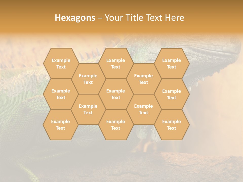 Glass Wild Wildlife PowerPoint Template