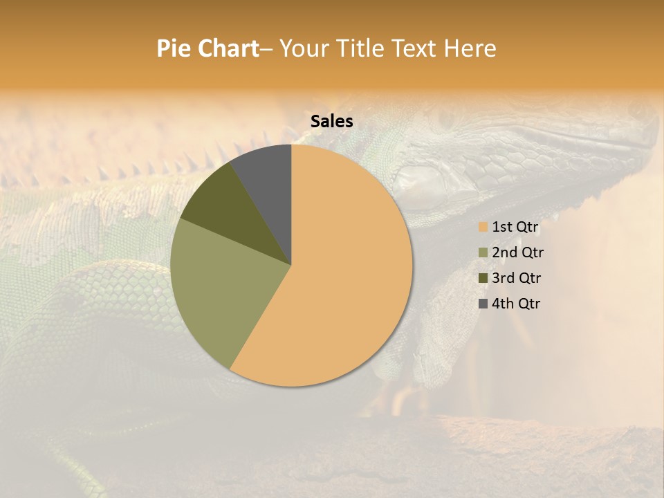 Glass Wild Wildlife PowerPoint Template
