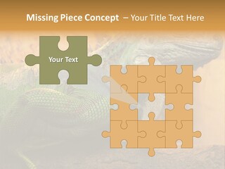 Glass Wild Wildlife PowerPoint Template