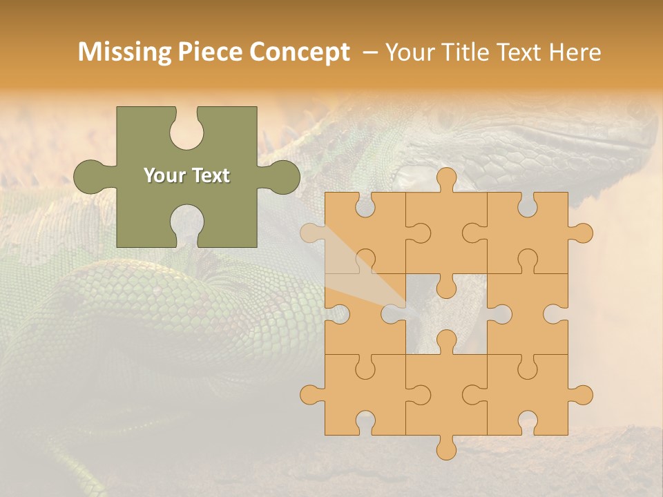 Glass Wild Wildlife PowerPoint Template