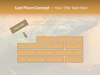 Glass Wild Wildlife PowerPoint Template