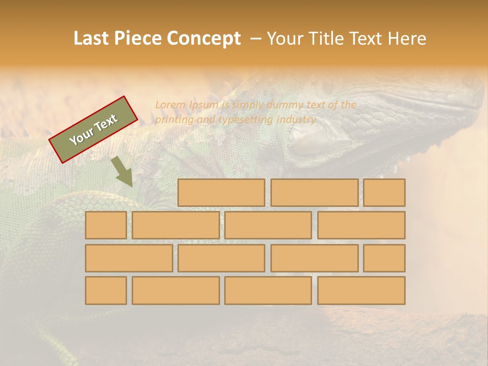 Glass Wild Wildlife PowerPoint Template