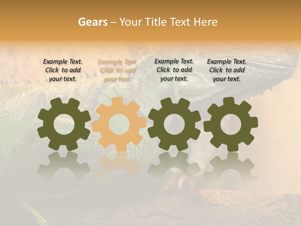 Glass Wild Wildlife PowerPoint Template