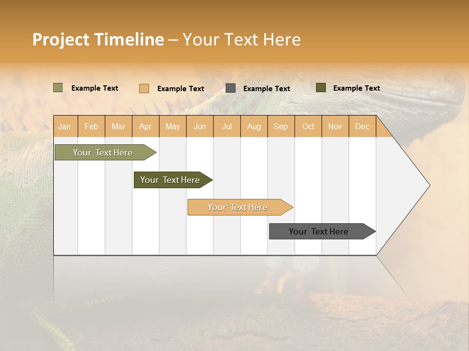 Glass Wild Wildlife PowerPoint Template