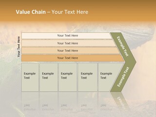 Glass Wild Wildlife PowerPoint Template