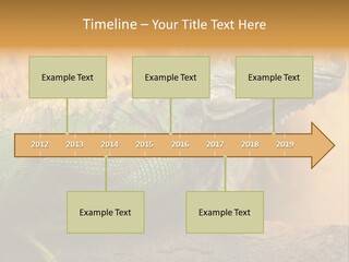 Glass Wild Wildlife PowerPoint Template