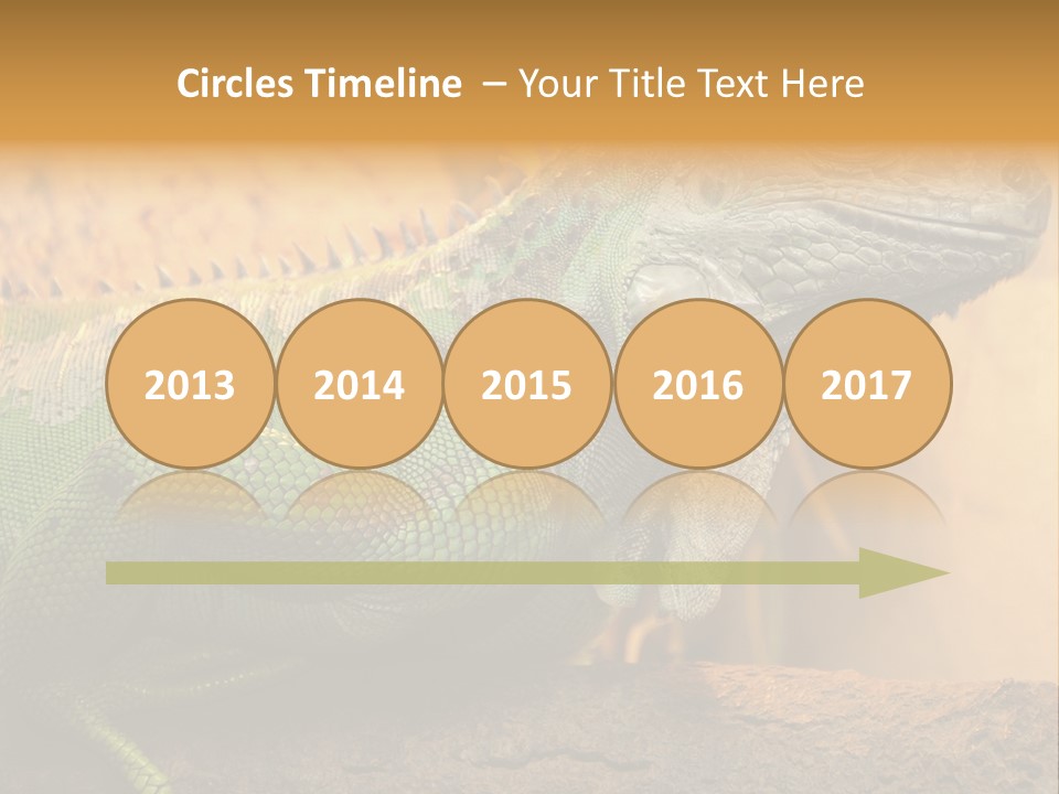 Glass Wild Wildlife PowerPoint Template