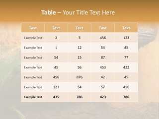 Glass Wild Wildlife PowerPoint Template