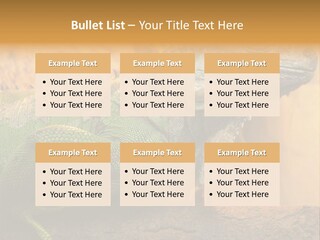 Glass Wild Wildlife PowerPoint Template