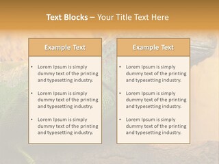 Glass Wild Wildlife PowerPoint Template