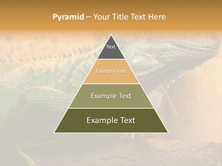 Glass Wild Wildlife PowerPoint Template