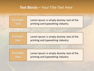 Glass Wild Wildlife PowerPoint Template