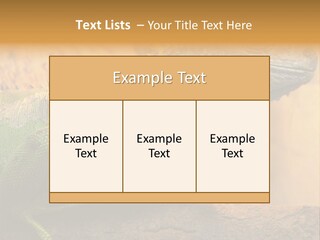 Glass Wild Wildlife PowerPoint Template