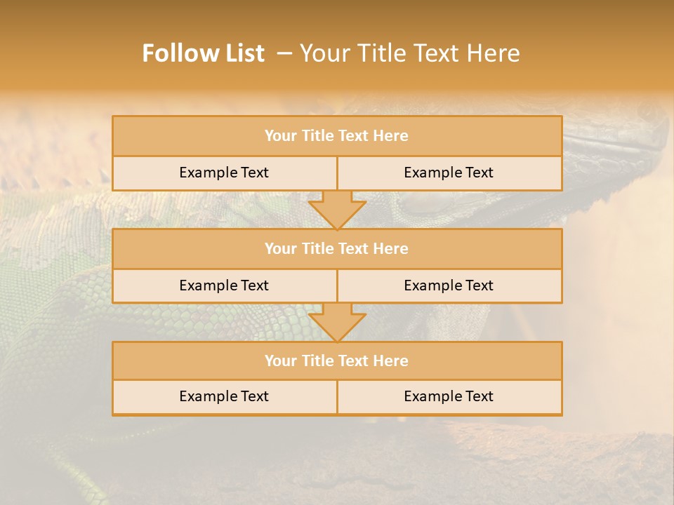 Glass Wild Wildlife PowerPoint Template