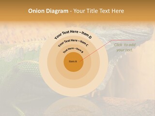 Glass Wild Wildlife PowerPoint Template