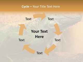 Glass Wild Wildlife PowerPoint Template