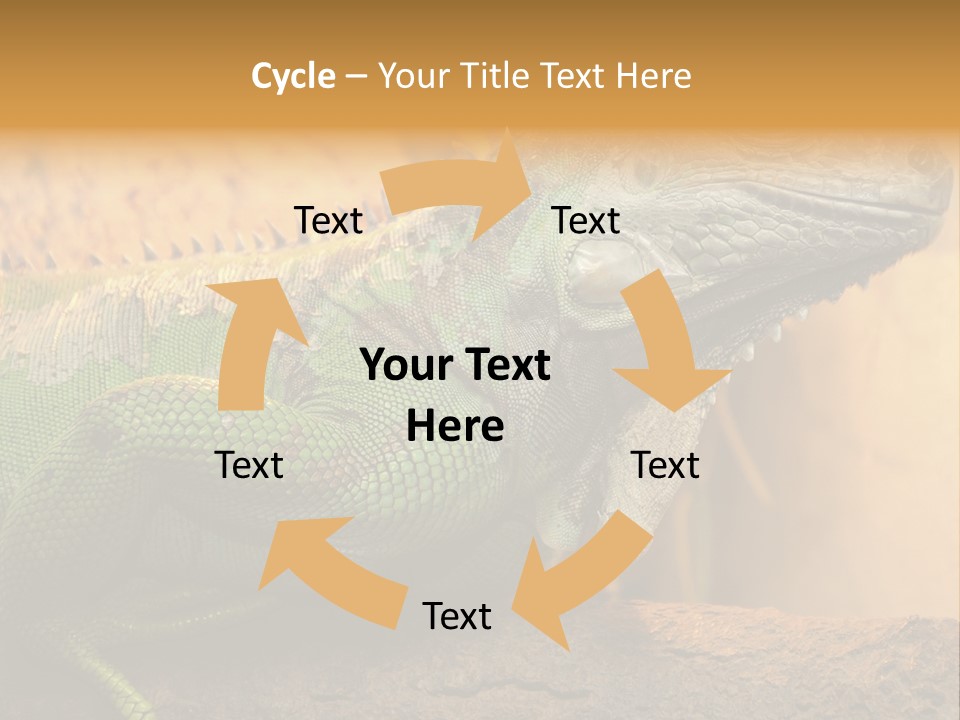 Glass Wild Wildlife PowerPoint Template