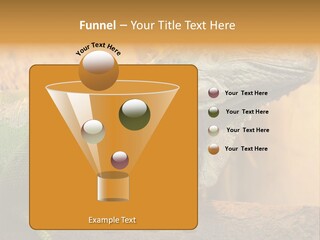 Glass Wild Wildlife PowerPoint Template