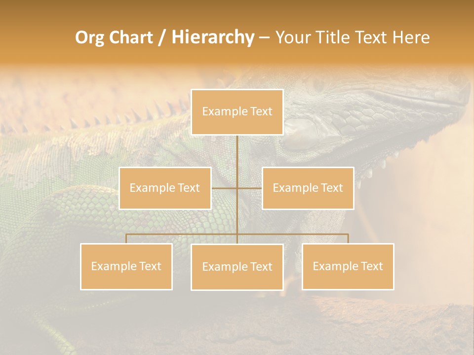 Glass Wild Wildlife PowerPoint Template