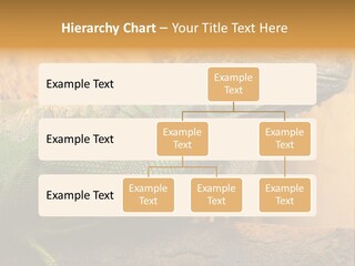 Glass Wild Wildlife PowerPoint Template
