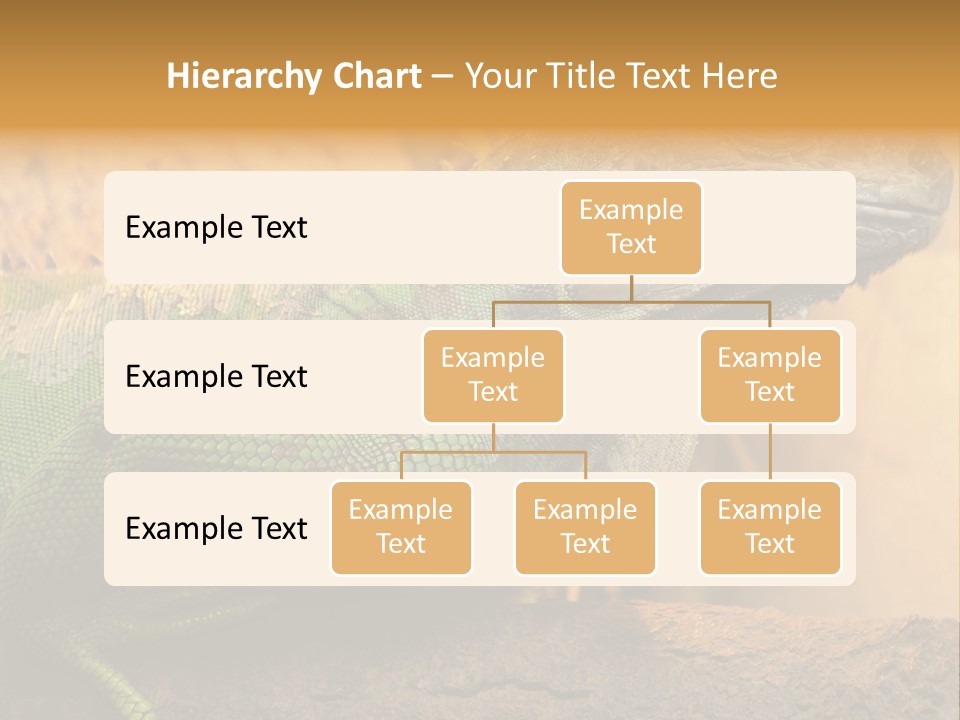 Glass Wild Wildlife PowerPoint Template