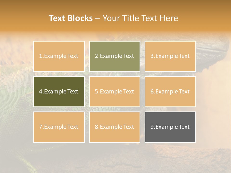 Glass Wild Wildlife PowerPoint Template