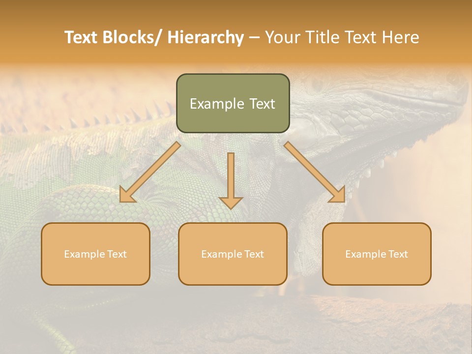 Glass Wild Wildlife PowerPoint Template