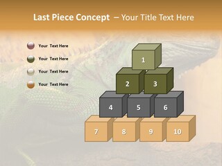 Glass Wild Wildlife PowerPoint Template