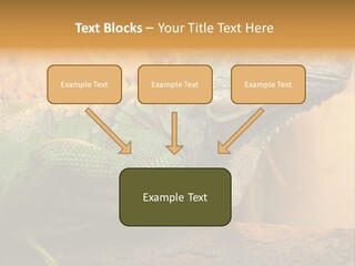 Glass Wild Wildlife PowerPoint Template