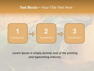 Glass Wild Wildlife PowerPoint Template