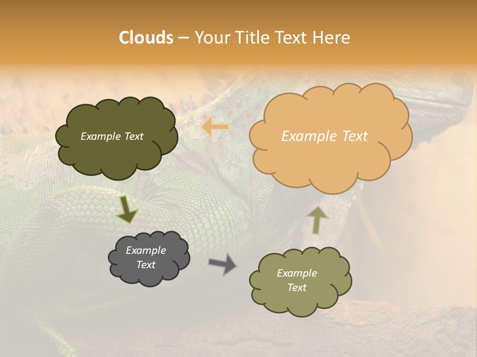 Glass Wild Wildlife PowerPoint Template