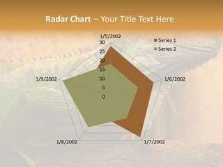 Glass Wild Wildlife PowerPoint Template