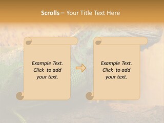 Glass Wild Wildlife PowerPoint Template