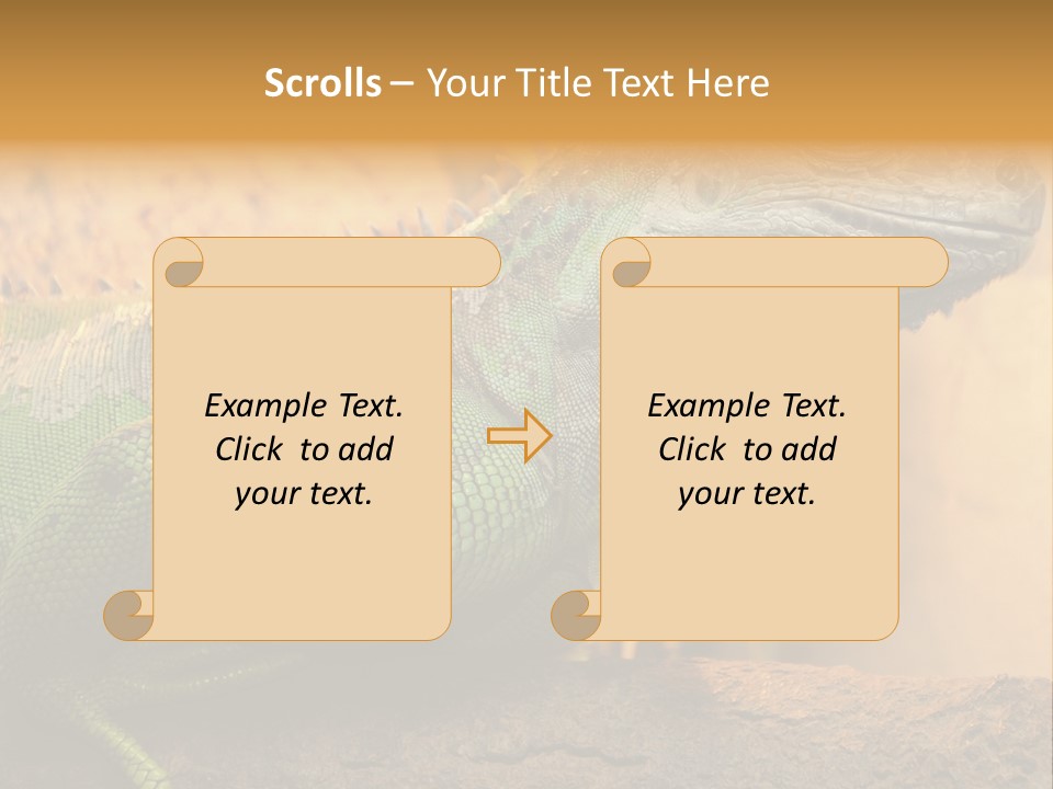 Glass Wild Wildlife PowerPoint Template