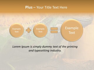 Glass Wild Wildlife PowerPoint Template